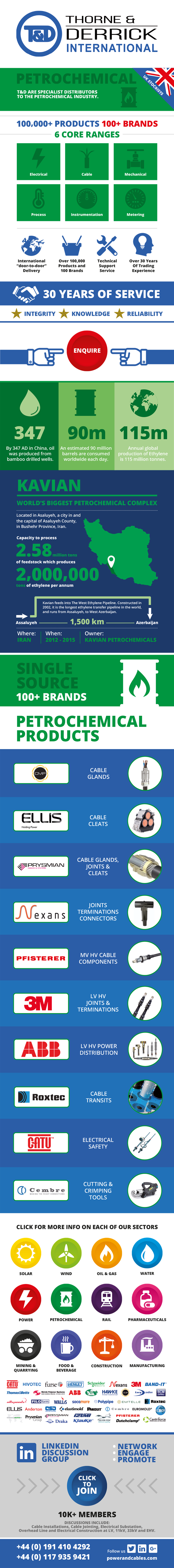 Petrochemical Infographic