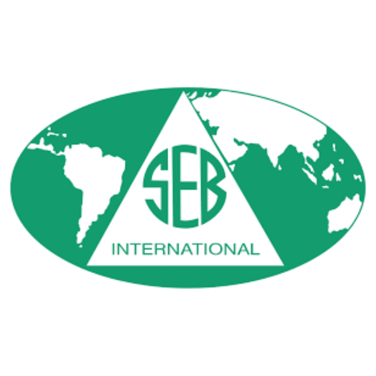 SEB International Logo