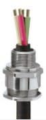 A2F16 Cable Gland Flameproof – CMP