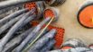 CSD Duct Seals | CSD RISE | CSD RISE Rapid | Cable Sealing Systems