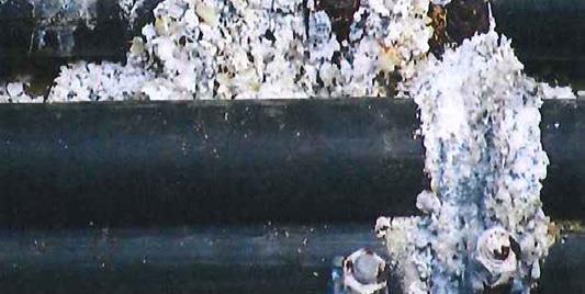 Stainless Steel Cable Cleats