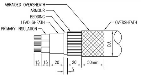 CSCAK1