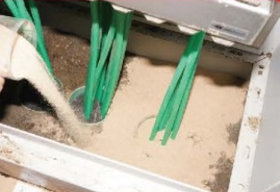 Pour the kiln dried sand in the base and over the ducts. You will require a minimum 5mm of sand