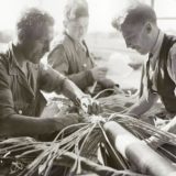 #TBT Underground Cables & Overhead Lines | Photo Album