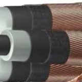Cables | MV Paper Insulated v MV Polymeric Insulated Cables