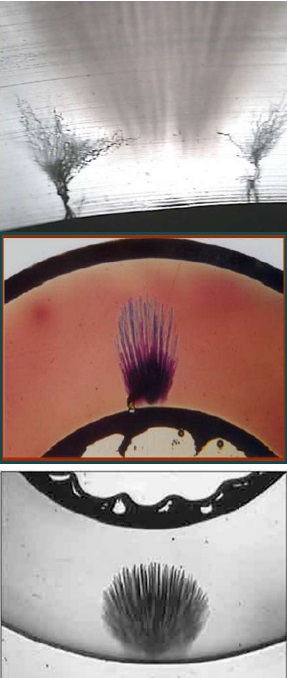 Figure 4 Examples of water trees in power cable insulation Figure 4 Examples of water trees in power cable insulation