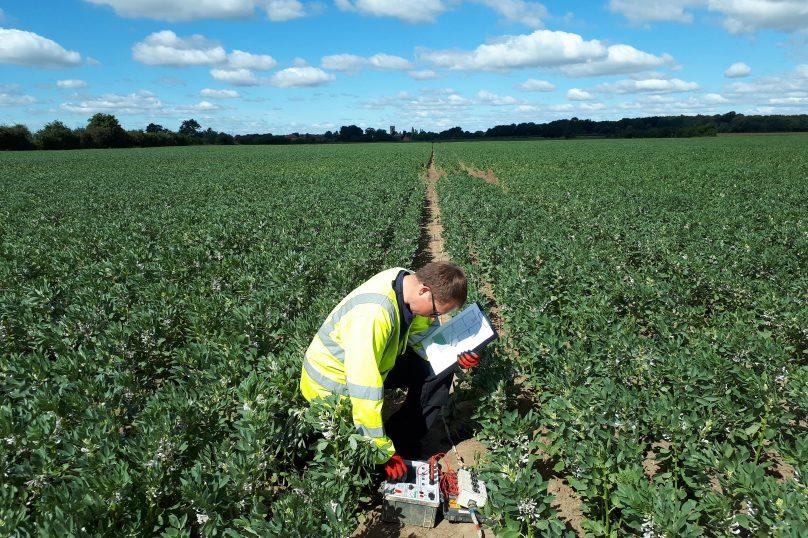 Soil Resisitivty Testing