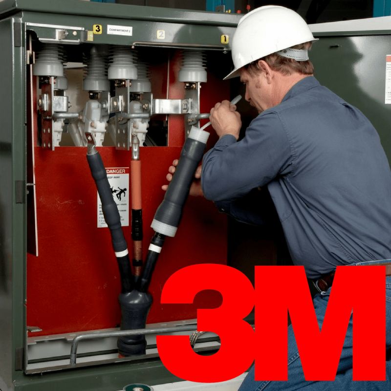 3M | Record Sales Results 2020