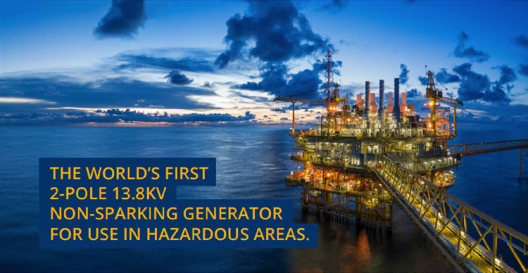 World's First 2-Pole HV 13.8KV Non-sparking Generator For Use In Hazardous Areas Power Generation Equipment In Hazardous Areas