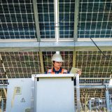 Electrical Safety Management | Solar Farms & Electrical Safety