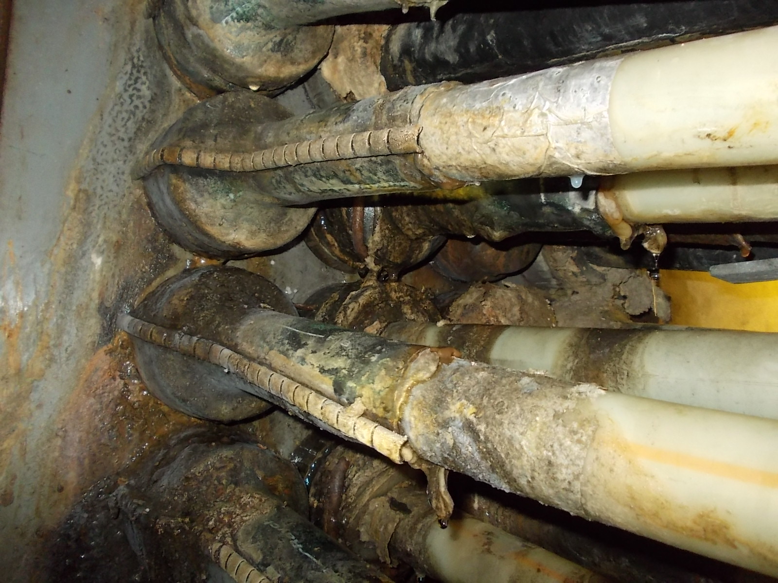 Duct Seals