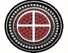 Cross Section of Conductors