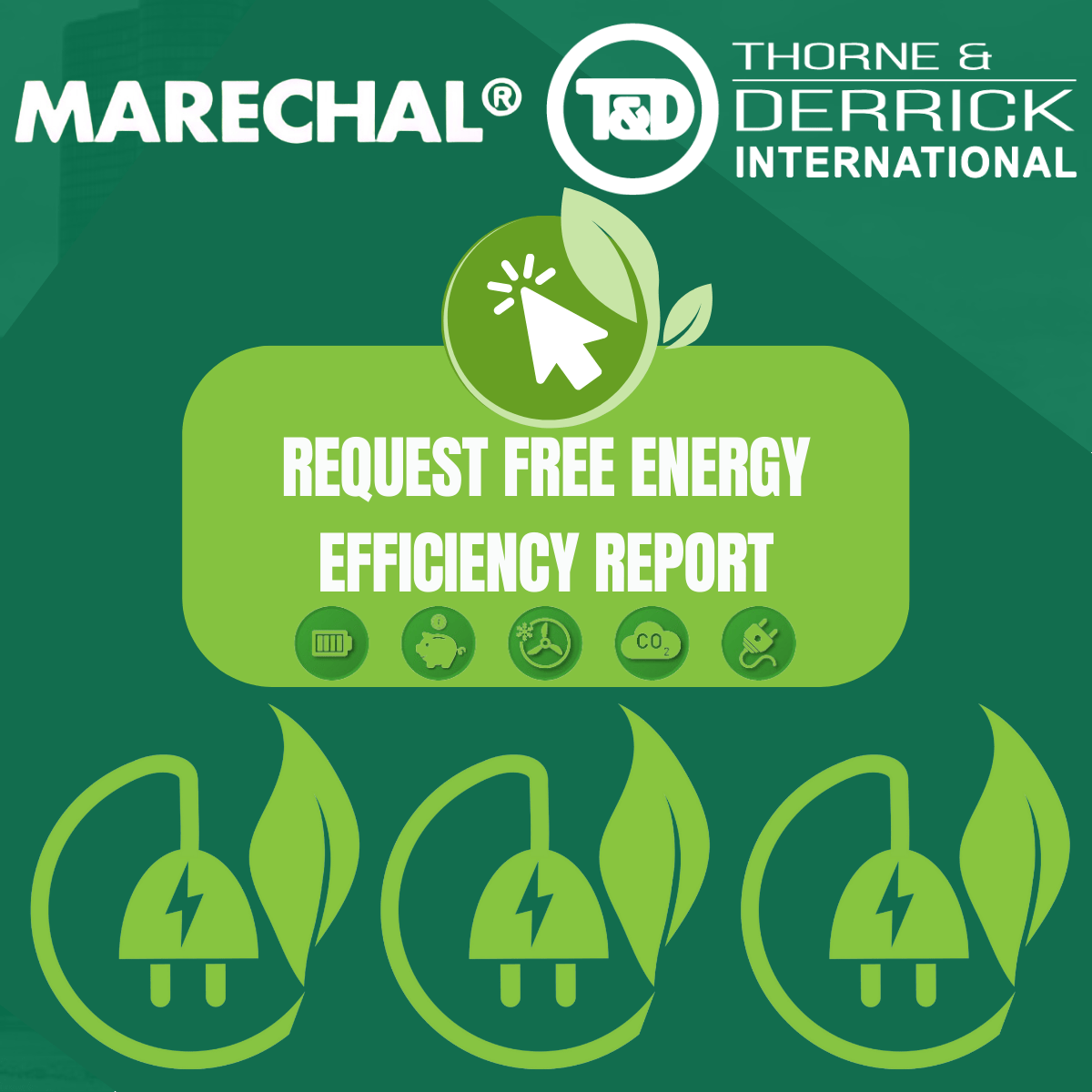 FREE ENERGY EFFICIENCY REPORT FREE ENERGY EFFICIENCY REPORT