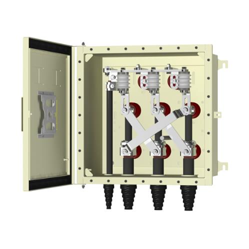 EMELEC Link Boxes 04.09.06 10kV